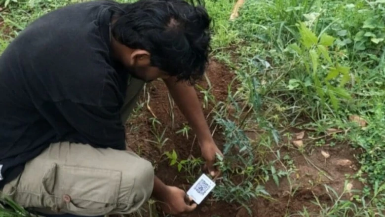 पलामू टाइगर रिजर्व का हाईटेक कदम: झारखंड में पहली बार पेड़ों की होगी डिजिटल पहचान, QR कोड से मिलेगा हर पौधे का पूरा ब्योरा
