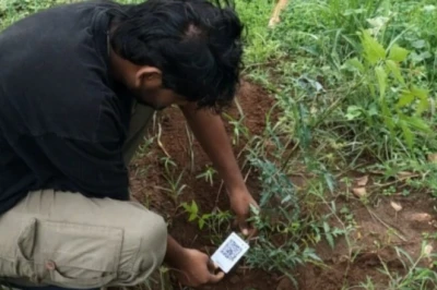 पलामू टाइगर रिजर्व का हाईटेक कदम: झारखंड में पहली बार पेड़ों की होगी डिजिटल पहचान, QR कोड से मिलेगा हर पौधे का पूरा ब्योरा