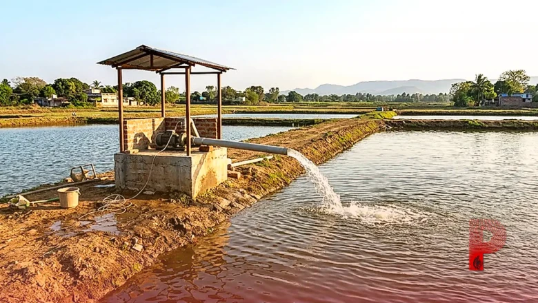 मछली पालकों के लिए बड़ी खुशखबरी, तालाब के किनारे ट्यूबवेल लगाने पर सरकार दे रही 70 प्रतिशत की भारी सब्सिडी