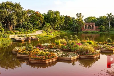 बिहार का पहला फ्लोटिंग गार्डेन, आरा के वीर कुंवर सिंह पार्क में पानी पर तैरता है अनोखा बगीचा