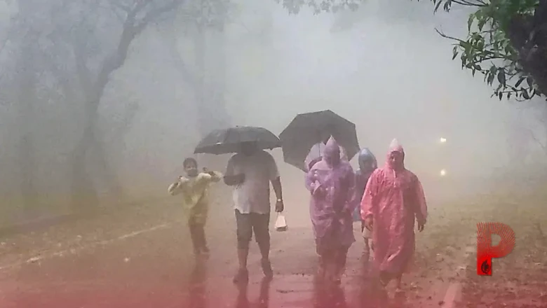 देश के कई राज्यों में मानसून का रौद्र रूप, गुजरात में रेड अलर्ट तो इन इलाकों में भी भारी बारिश की चेतावनी