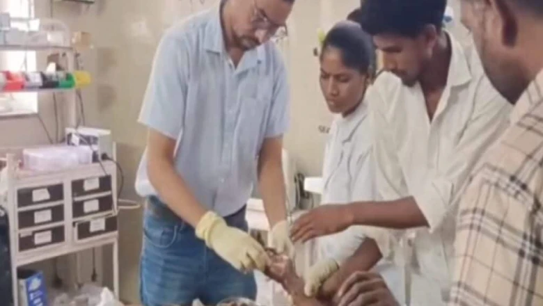 बांसवाड़ा में खेत में काम कर रहे किसान पर तेंदुए का जानलेवा हमला, शोर मचाने पर बची जान