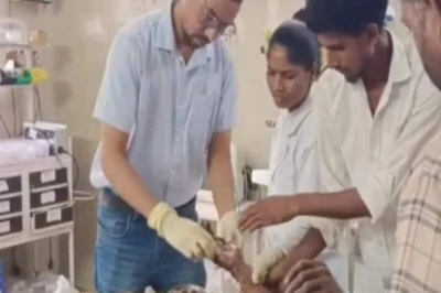 बांसवाड़ा में खेत में काम कर रहे किसान पर तेंदुए का जानलेवा हमला, शोर मचाने पर बची जान