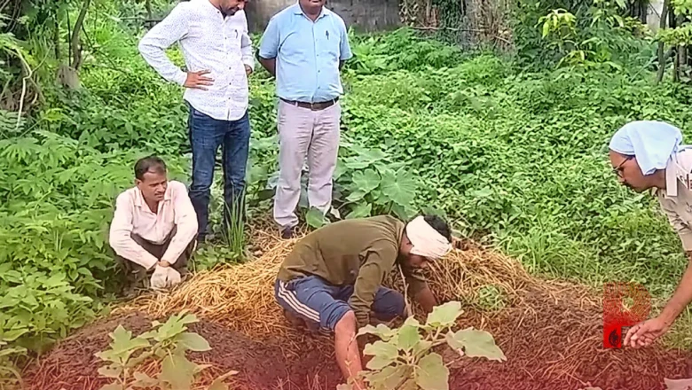 बालाघाट: शर्मनाक घटना, बेटी के नवजात बच्चे को नाना ने गोबर में जिंदा दफनाया