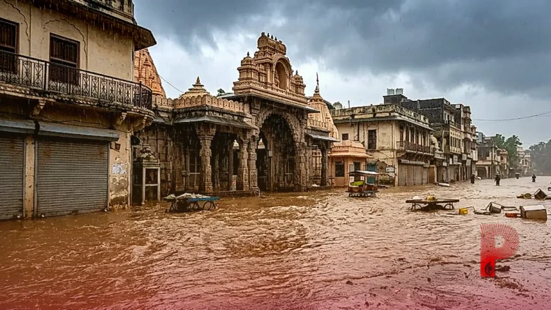 मध्य प्रदेश में मानसून का रौद्र रूप: 14 जिलों में अचानक बाढ़ का अलर्ट, पूरे राज्य में येलो अलर्ट जारी