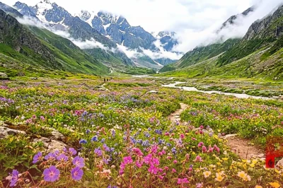 फूलों की घाटी में रिकॉर्ड पर्यटकों का आगमन, अगस्त में स्वर्ग जैसा नजारा