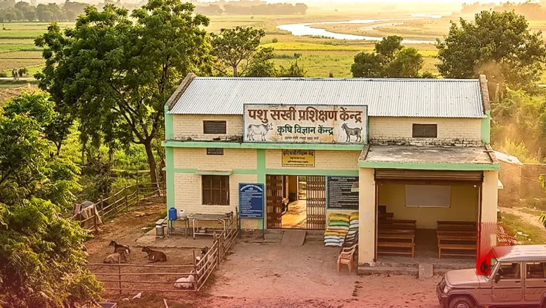 लखपति दीदी बनने का शानदार अवसर, 17 दिन की ट्रेनिंग के बाद महिलाओं को मिलेगी पशु सखी की नई पहचान