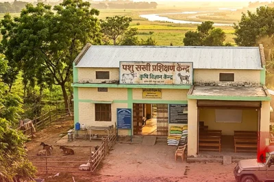 लखपति दीदी बनने का शानदार अवसर, 17 दिन की ट्रेनिंग के बाद महिलाओं को मिलेगी पशु सखी की नई पहचान