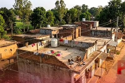 मंडला में बंदरों का जानलेवा हमला, छत से गिरकर युवक की गई जान, नारायणगंज में मचा कोहराम