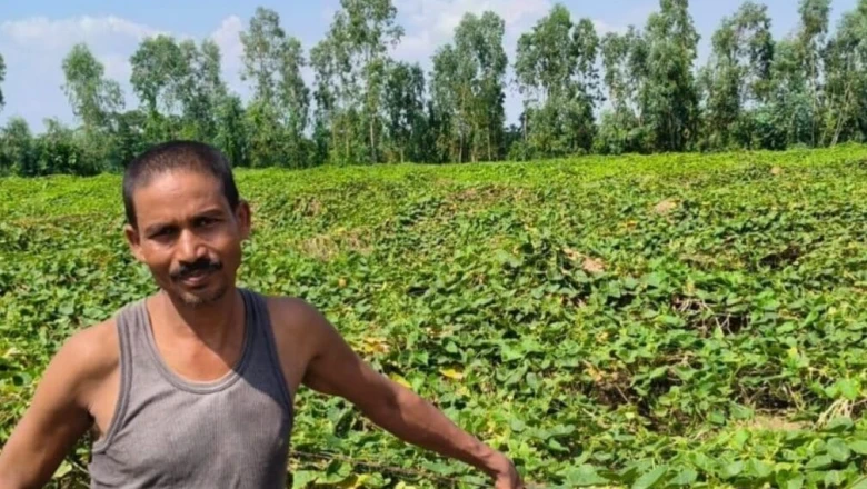 जैविक खेती को बढ़ावा देने के लिए सरकार का बड़ा फैसला, कीट नियंत्रण उपकरणों पर मिलेगा 75 प्रतिशत अनुदान