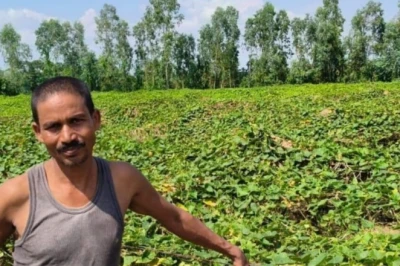 जैविक खेती को बढ़ावा देने के लिए सरकार का बड़ा फैसला, कीट नियंत्रण उपकरणों पर मिलेगा 75 प्रतिशत अनुदान