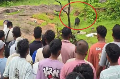 छत्तीसगढ़: कांकेर में भालू का खौफनाक तांडव, 2 सगे भाई-बहन को बनाया शिकार, घंटों शवों को नोचता रहा दरिंदा