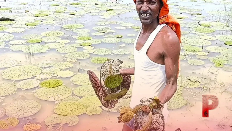किसानों के लिए खुशखबरी: ATMA योजना के जरिए सरकार दे रही है मुफ्त ट्रेनिंग और आधुनिक खेती का प्रशिक्षण