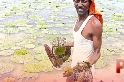 किसानों के लिए खुशखबरी: ATMA योजना के जरिए सरकार दे रही है मुफ्त ट्रेनिंग और आधुनिक खेती का प्रशिक्षण