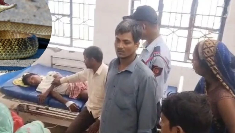 कैमूर में सांप के डसने के बाद झाड़फूंक पड़ी भारी, 15 साल के किशोर ने तोड़ा दम
