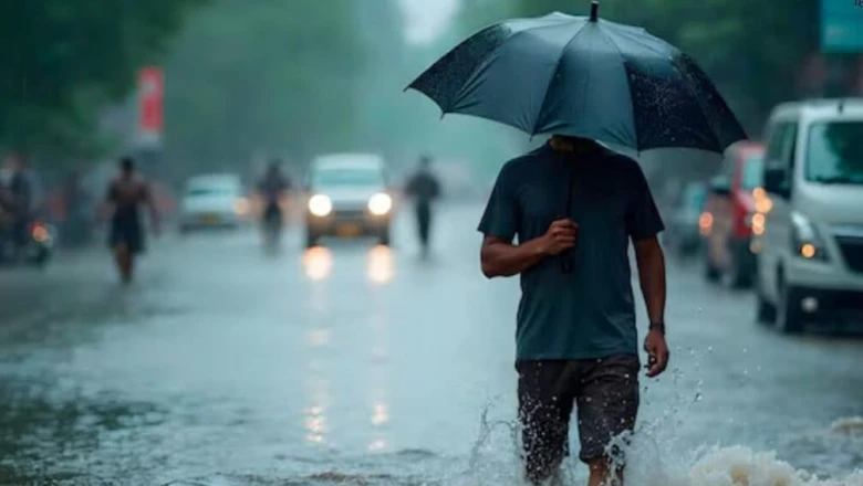 मध्य प्रदेश में फिर सक्रिय हुआ मानसून, रीवा-सतना-पन्ना समेत कई जिलों के लिए भारी बारिश का अलर्ट