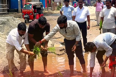 पलामू में अनोखा विरोध प्रदर्शन: सड़क के गड्ढों में युवाओं ने की धान की रोपाई