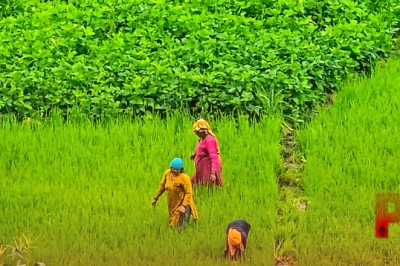 पीएम किसान सम्मान निधि: क्या आपकी किश्त भी अटकी है, घर बैठे ई-केवाईसी पूरा करने का आसान तरीका जानें
