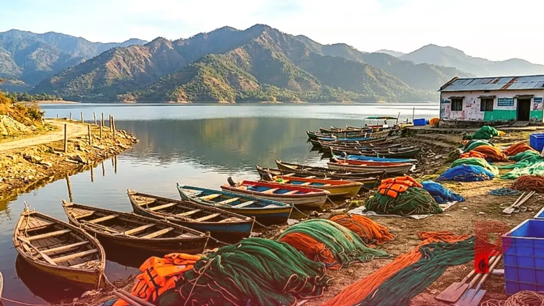हिमाचल प्रदेश में मछुआरों के लिए नई योजना, नाव और उपकरणों पर मिलेगी बंपर सब्सिडी