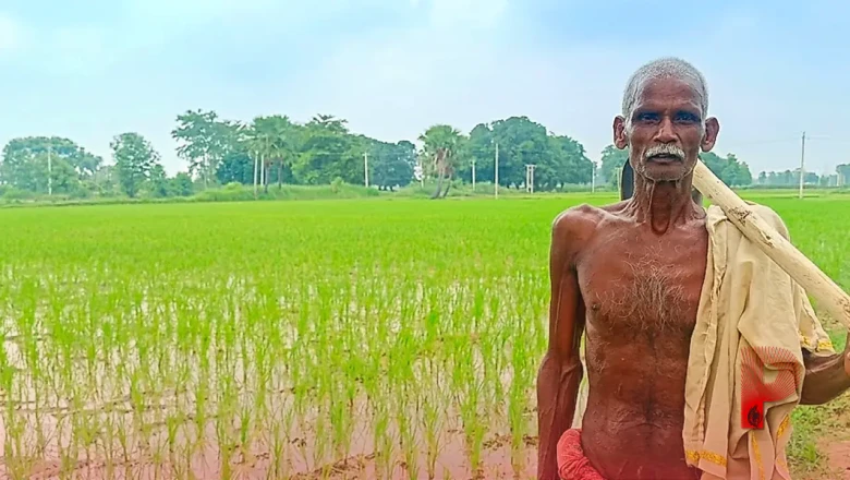 जहानाबाद के सीताराम यादव: 70 साल की उम्र में बिना कपड़ों के खेत में बहाते हैं पसीना, खुद के हैं 2 ट्रैक्टर