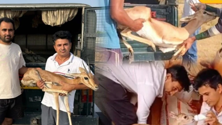 खुद बोल नहीं सकते, लेकिन बेजुबान वन्यजीवों की आवाज बने जोधपुर के मूक-बधिर फरसाराम