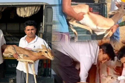 खुद बोल नहीं सकते, लेकिन बेजुबान वन्यजीवों की आवाज बने जोधपुर के मूक-बधिर फरसाराम