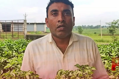 खरीफ सीजन में आलू की खेती से पाना है बंपर मुनाफा? कृषि विशेषज्ञ की इन बातों का रखें खास ध्यान, नहीं होगी कोई चूक