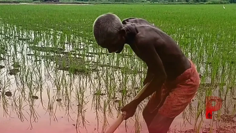 सूखे से बेहाल किसानों के लिए बड़ी राहत, प्रधानमंत्री कृषि सिंचाई योजना से सिंचाई का खर्च होगा आधा