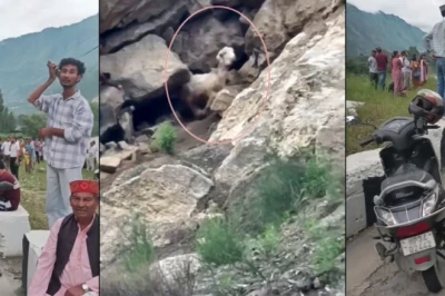 कुल्लू में अंधविश्वास या आस्था? गुफा से दिन में दो बार निकलने वाली बकरी को लोग मान रहे 'देवी का चमत्कार', उमड़ रही भारी भीड़