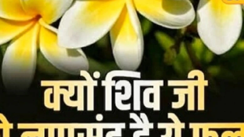 सावन 2026: शिवलिंग पर गलती से भी न चढ़ाएं केतकी का फूल, जानें इसके पीछे की पौराणिक वजह