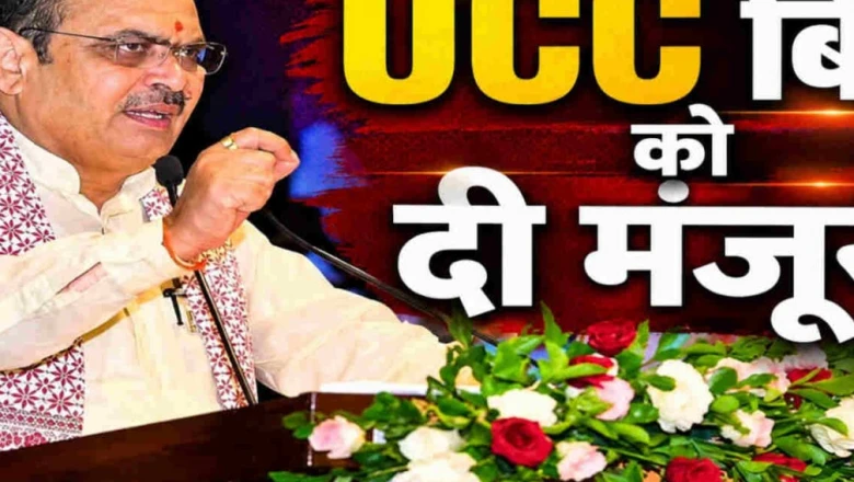राजस्थान में बड़ा फैसला: अब मृत कर्मचारियों की पुत्रवधुओं को भी मिलेगी अनुकंपा नियुक्ति, भजनलाल कैबिनेट ने कई अहम प्रस्तावों पर लगाई मुहर
