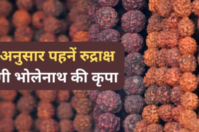 सावन का समापन होने से पहले अपनी राशि के अनुसार धारण करें रुद्राक्ष, महादेव की बरसेगी विशेष कृपा