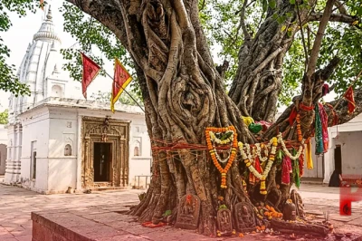 शिवहर के बाबा भुवनेश्वर नाथ मंदिर में चमत्कार, 300 साल पुराने नीम-पीपल के पेड़ में दिखती है शिव-शक्ति की झलक