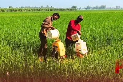 शाहजहांपुर के किसानों के लिए खुशखबरी: बागवानी और आधुनिक खेती पर मिलेगा लाखों का अनुदान
