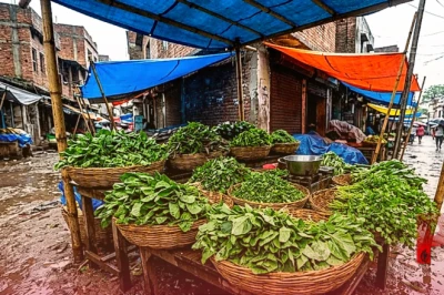 बारिश में हरी भाजी खाने के शौकीन हो जाएं सावधान, एक्सपर्ट ने बताए संक्रमण से बचने के उपाय