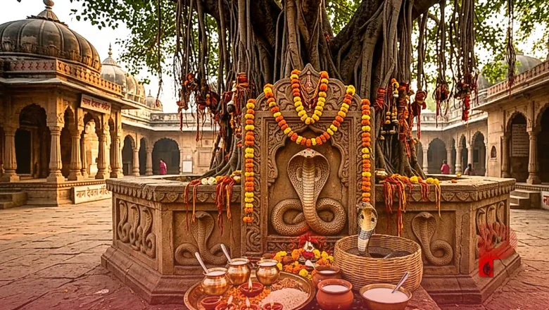 नाग पंचमी पर क्या सांपों को दूध पिलाना सही है, जानें धार्मिक मान्यता और वैज्ञानिक सच्चाई