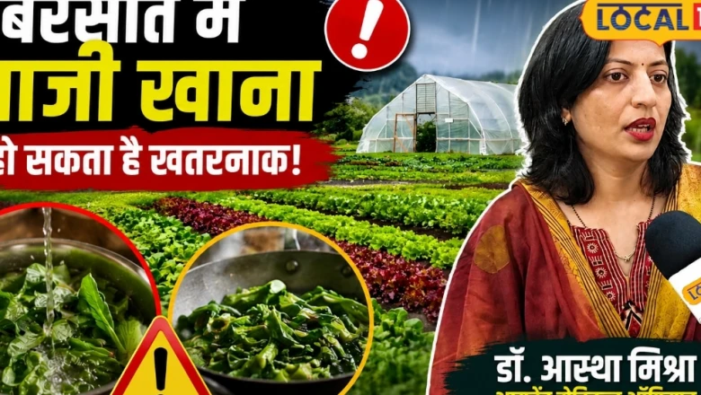 बारिश में हरी भाजी खाने के शौकीन हो जाएं सावधान, एक्सपर्ट ने बताए संक्रमण से बचने के उपाय