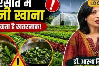 बारिश में हरी भाजी खाने के शौकीन हो जाएं सावधान, एक्सपर्ट ने बताए संक्रमण से बचने के उपाय