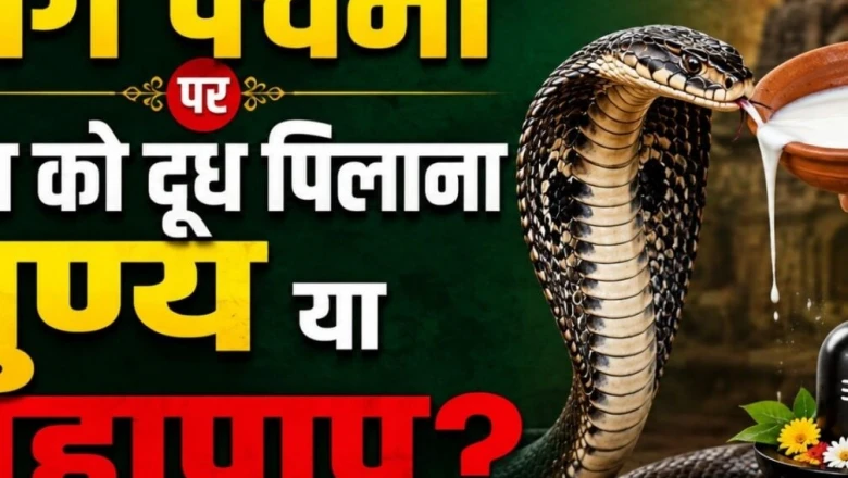 नाग पंचमी पर क्या सांपों को दूध पिलाना सही है, जानें धार्मिक मान्यता और वैज्ञानिक सच्चाई