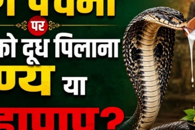 नाग पंचमी पर क्या सांपों को दूध पिलाना सही है, जानें धार्मिक मान्यता और वैज्ञानिक सच्चाई