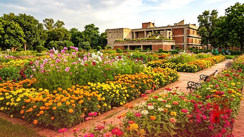 अगस्त और सितंबर में इन 8 पौधों से महकेगा आपका गार्डन, रंग-बिरंगे फूलों से आएगी बहार