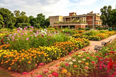 अगस्त और सितंबर में इन 8 पौधों से महकेगा आपका गार्डन, रंग-बिरंगे फूलों से आएगी बहार