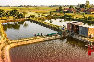 20 साल की उम्र में मछली पालन से कमाए 7 लाख रुपये, जहानाबाद के नवनीत ने पढ़ाई के साथ खड़ा किया सफल कारोबार