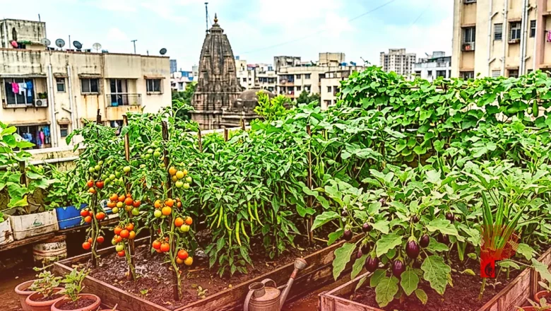 अगस्त के महीने में अपने किचन गार्डन में उगाएं ये 5 सब्जियां, मिलेगा ताजी उपज का फायदा