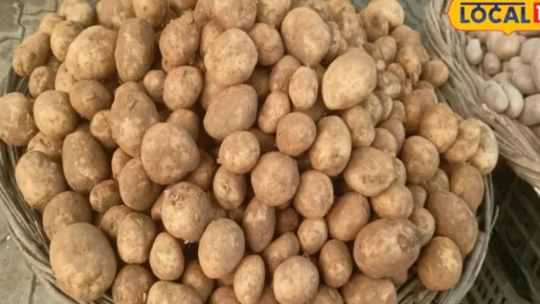 घर लाने के बाद आलू मीठा निकल रहा है, तो खरीदते समय बरतें ये सावधानियां