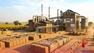चीनी के भाव में रिकॉर्ड उछाल, मिल कीमतें 5500 रुपये प्रति क्विंटल के पार, खुदरा दर भी हुई महंगी