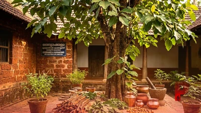 पाचन सुधारने से लेकर सूजन कम करने तक, आयुर्वेद में क्यों खास है गम्हार का पेड़