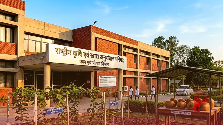 कीवी फल के अद्भुत फायदे और सेवन का सही तरीका, एक्सपर्ट से जानें कब खाना है सबसे ज्यादा लाभकारी