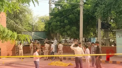 हिसार में दिनदहाड़े सनसनी: कोर्ट परिसर के बाहर गैंगस्टर विनोद पानू की गोलियों से भूनकर हत्या