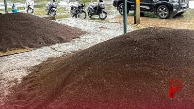 खैरथल मंडी भाव: सरसों की कीमतों में जबरदस्त उछाल, भाव 8 हजार के पार, चना भी हुआ महंगा